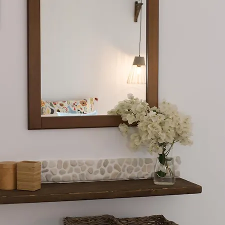 Chic Designed House