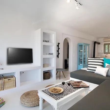 Chic Designed House