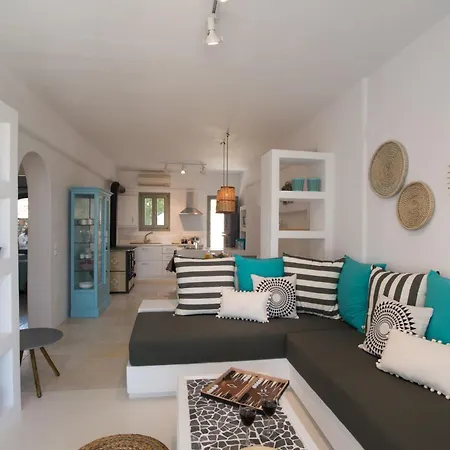 Chic Designed House